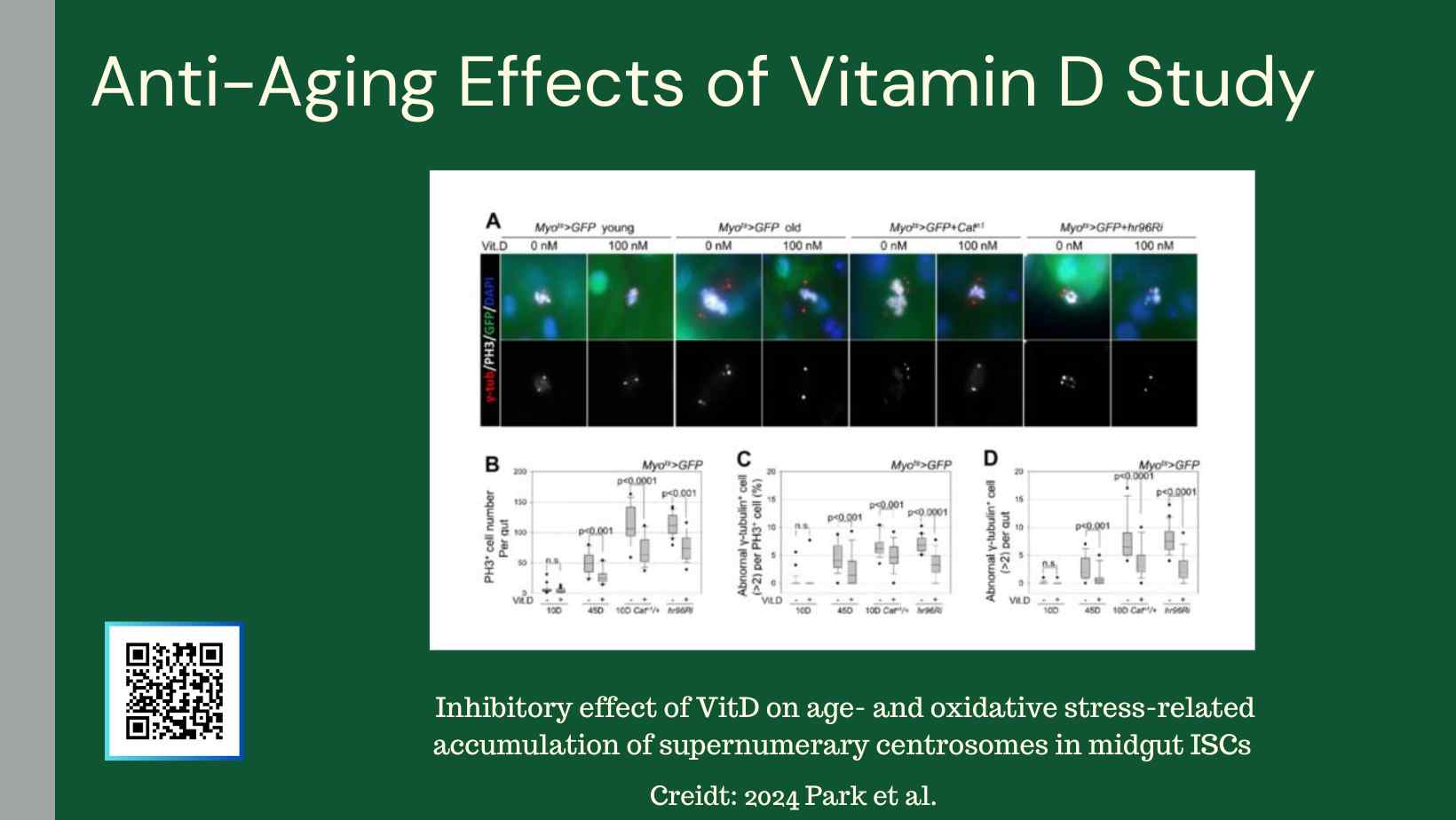 Exploring the Anti-Aging Effects of Vitamin D: Insights from the ...